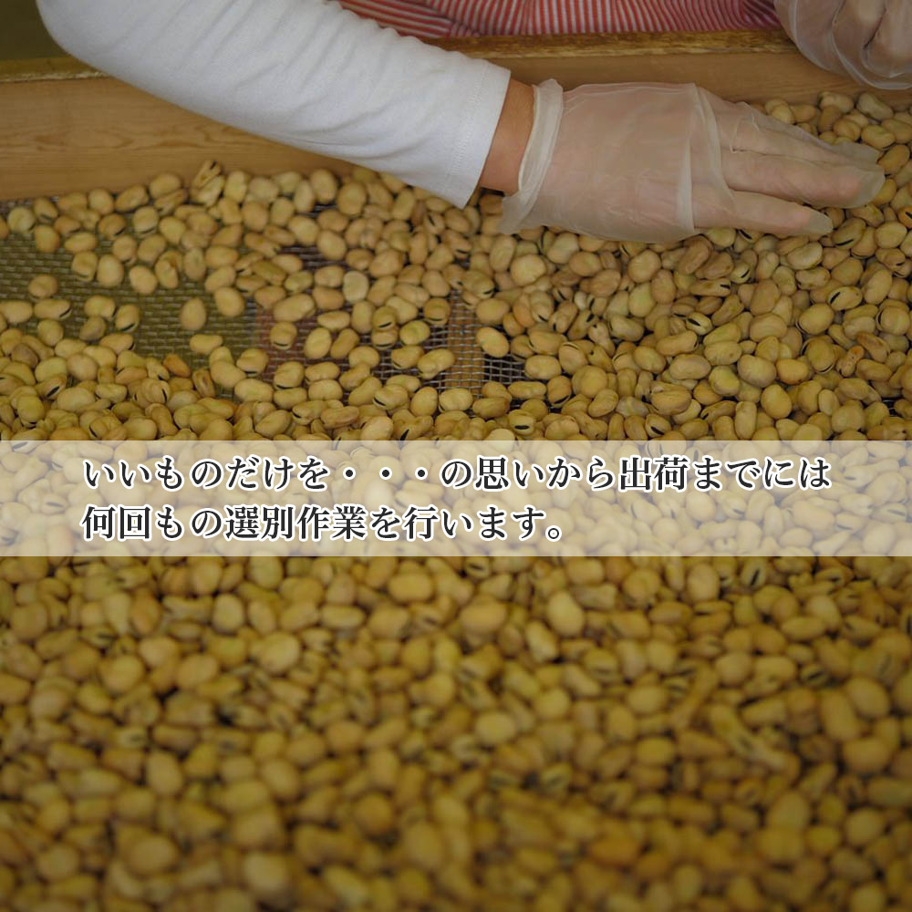 楽天市場 送料無料 いり豆 へんこつ豆 イリ豆 そら豆 おつまみ True Heart Muroto