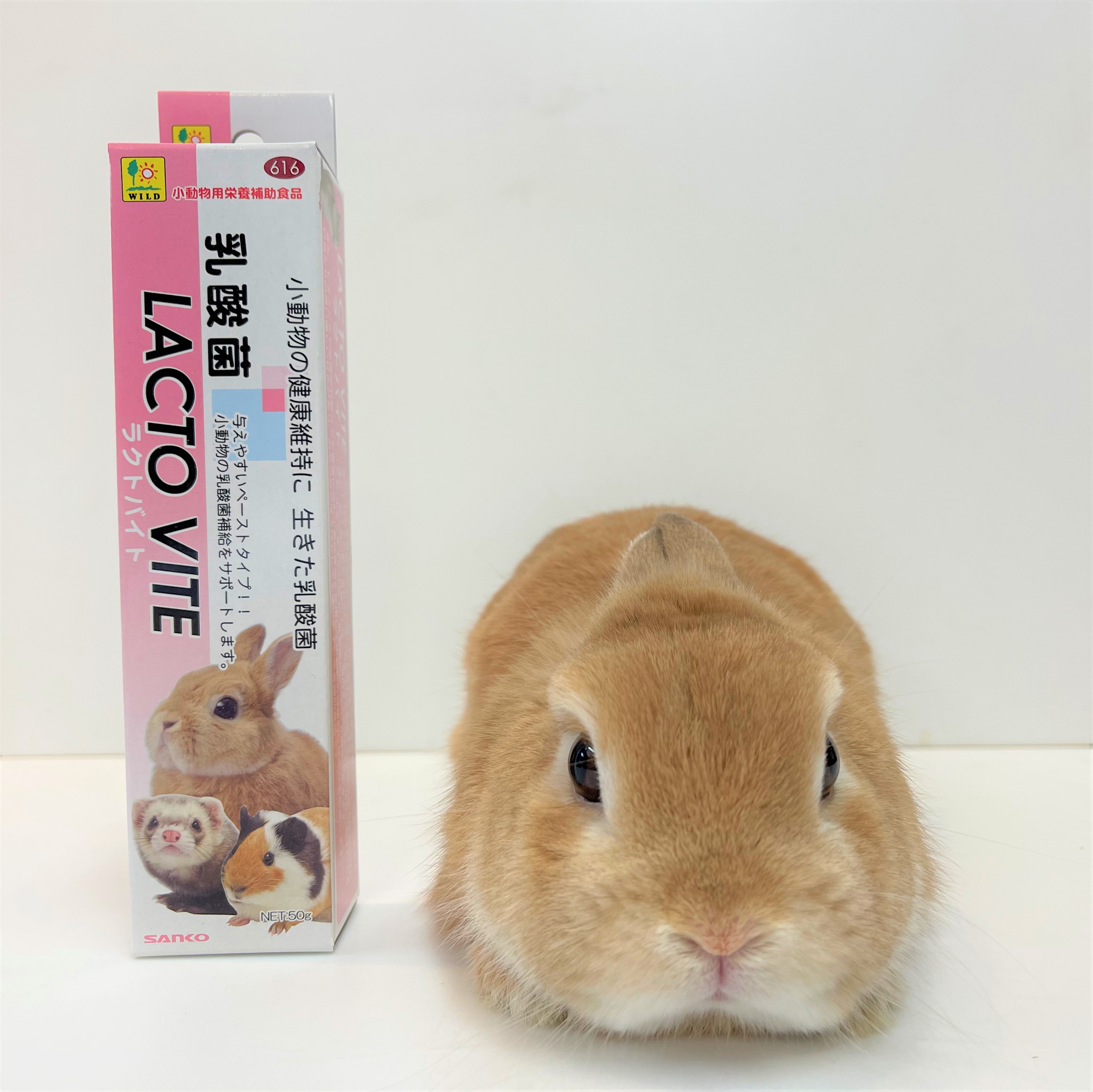 楽天市場】ハイペット 恵メンテナンス 830g ペット ペレット