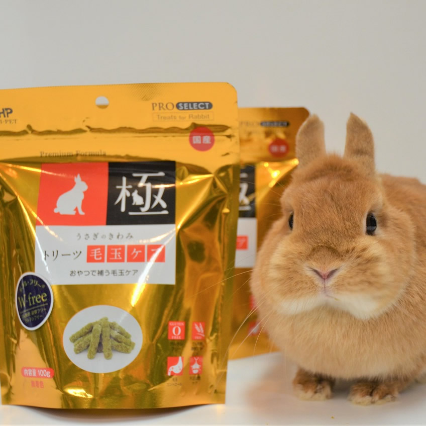 さくさくページ　飲茶うさぎ2点セット 耐熱ガラスのティーセット〜枝垂桜とうさぎの日向ぼっこ