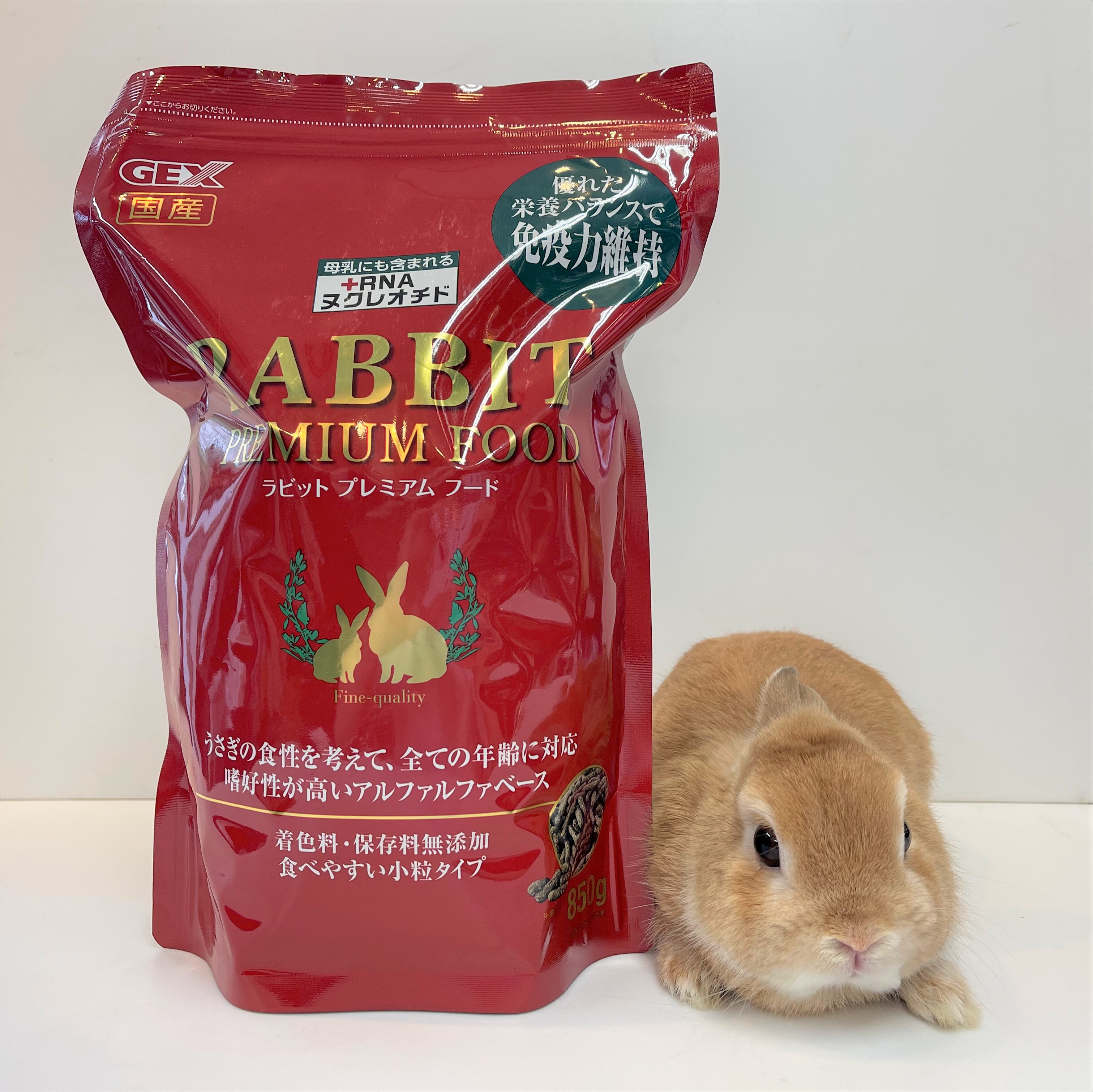 楽天市場】ハイペット 恵メンテナンス 830g ペット ペレット