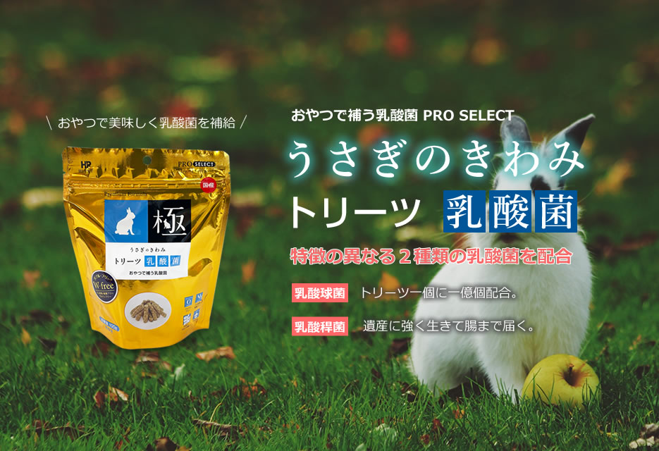 楽天市場 うさぎのきわみトリーツ乳酸菌100g ハイペット ペット 餌 ウサギ うさぎ専門店の食彩 Truegrasses