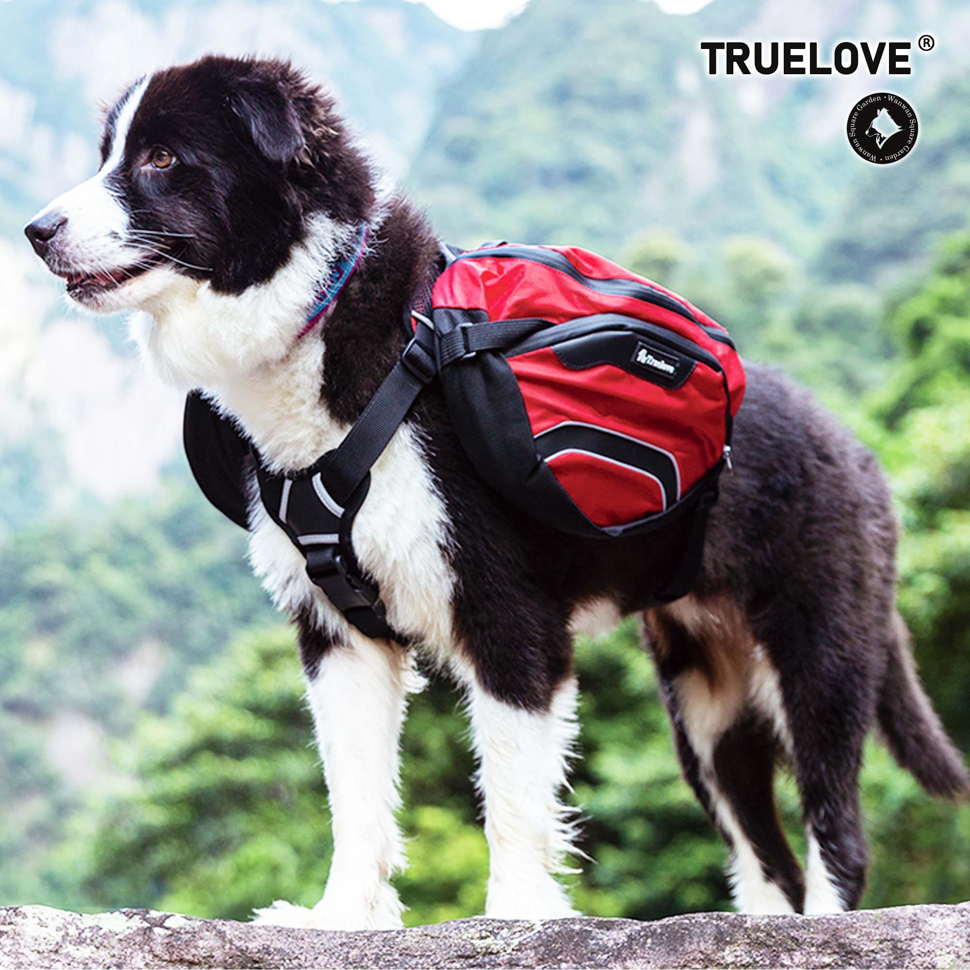 【楽天市場】【Truelove公式】犬 リュック ハーネス ブランド 高機能 中型犬 大型犬 アウトドア キャンプ 川遊び 山 アクティブ