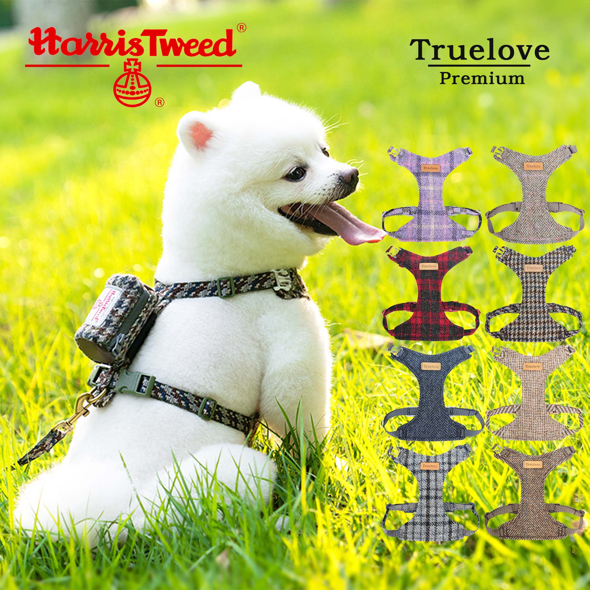 【Truelove公式】犬 ハーネス リードセット ハリスツィード リュック おしゃれ かわいい 小型犬 中型犬用 胴輪 プレミアム ブランド アウトドア やさしい手触り クッション ソフトパッド 簡単 快適 ハリスツイードハーネス TLH2912