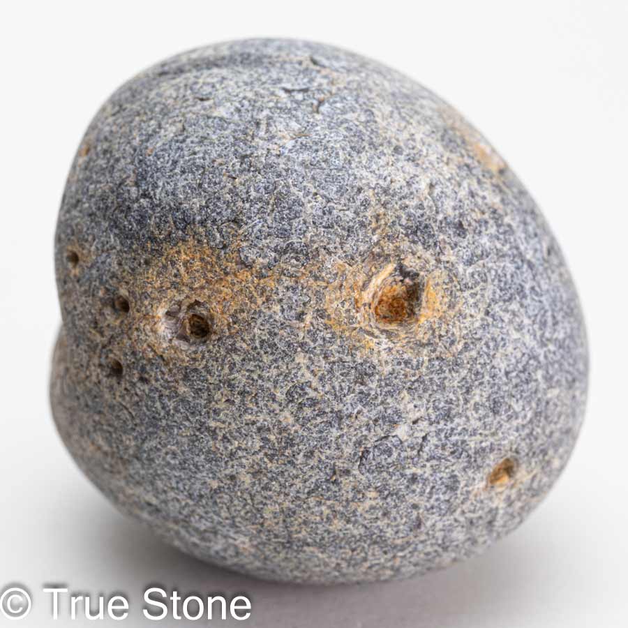 デンマーク産 バイキングボール 68g 白亜紀 生物化石 採掘不可 生物の証 お守り