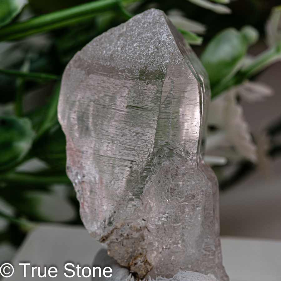 ～【 専用 】～超透明！ガネーシュヒマール水晶ポイント（ネパール） ガネーシュヒマール産ヒマラヤ水晶ポイント - ヒマラヤ水晶専門