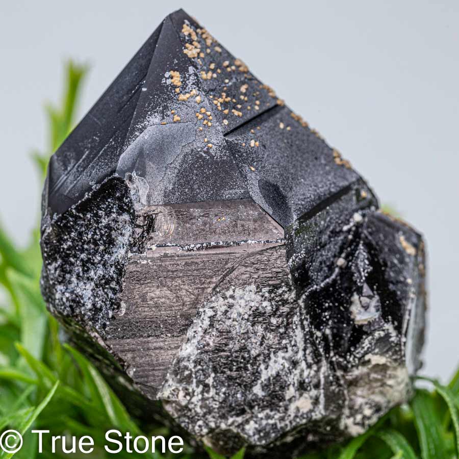 モリオン 原石　/ 黒水晶　クリスタル 楽天市場】天然黒水晶モリオン 黒水晶 モリオン ブラッククリスタル