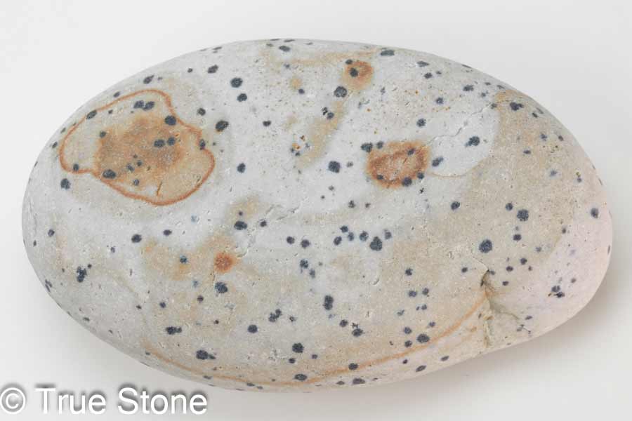 龍脈の精髄 フォイト電気石入り水晶クラスター売上一部保護猫活動に 龍脈の精髄 ― 水晶 「静かなる光を宿す ひとしずくの奇跡」 売上