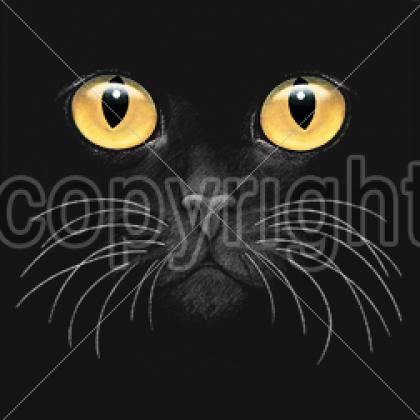 キャット スウェット フルジップパーカー (７５） ネコ 猫 ゴールドアイ ブラックキャット 猫プリント かわいい ギフト オーナーズグッズ 記念品 オフ会 送料無料