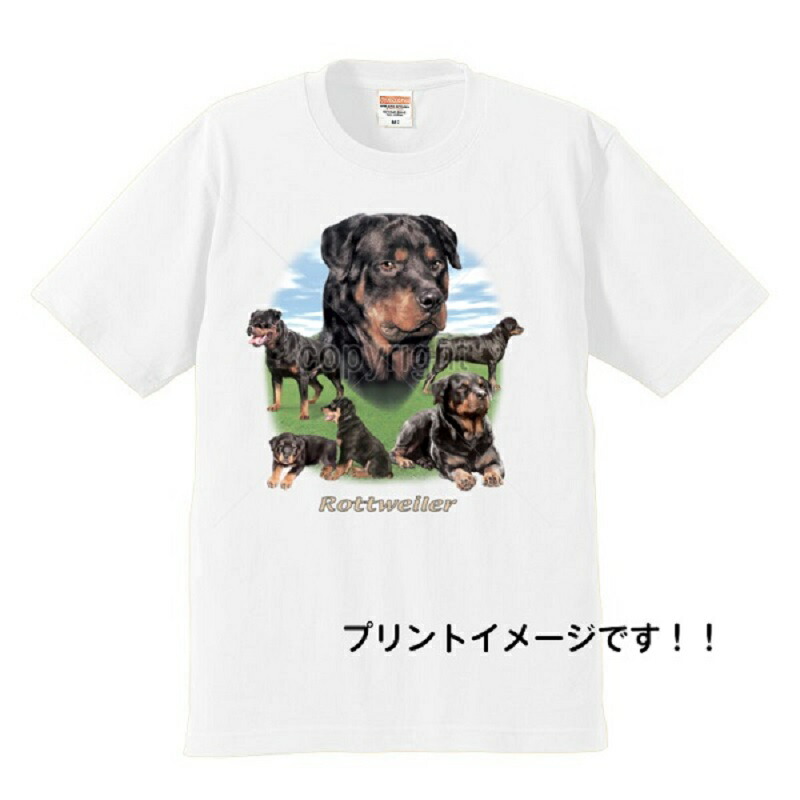 市場 ロットワイラー カットソー クルーネック 集合1 コットン 丸首型 トップス Tシャツ 半袖 レディース 綿100 メンズ シンプル 服 市場 ロットワイラー カットソー クルーネック 集合1 コットン 丸首型 トップス Tシャツ 半袖 レディース 綿100 メンズ シンプル 服