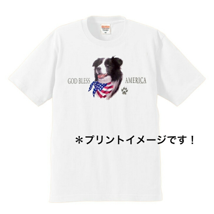 楽天市場】ボーダーコリー tシャツ 半袖 カットソー 丸首型
