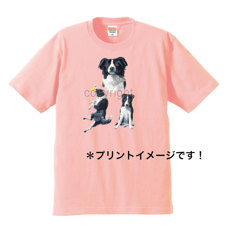 市場 ボーダーコリー メンズ トップス シンプル 綿100 レディース 半袖 服 丸首型 Tシャツ かわいい コットン カットソー クルーネック