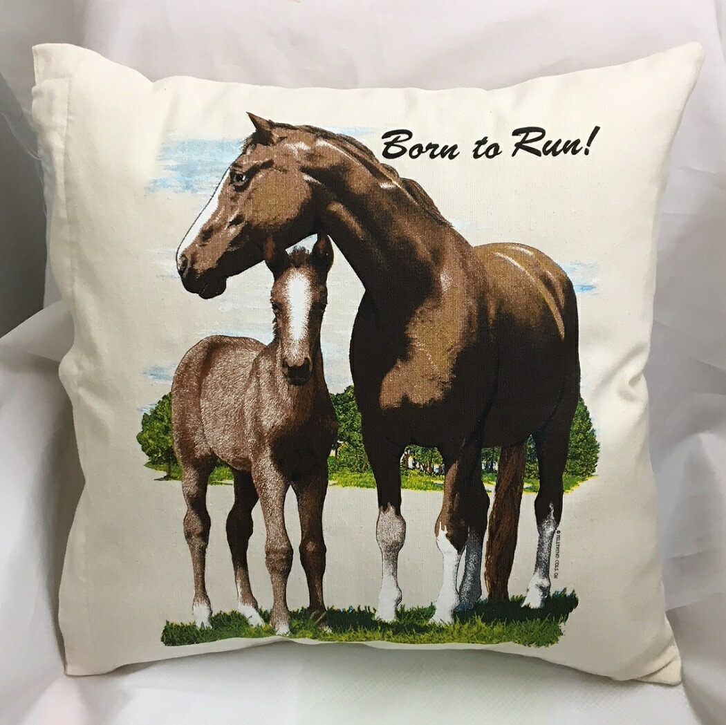 楽天市場】【即納 名入れ無し】 クッションカバー 45×45 [ 俺の本気