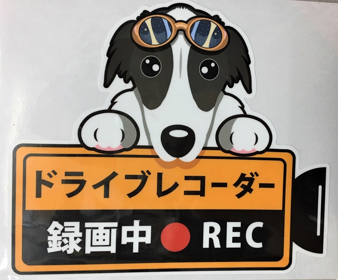 楽天市場 犬 ボルゾイ ドライブレコーダー録画中 犬種別外張りステッカー ボルゾイ ドラレコ ステッカー ドッグ いぬ イヌ 車 オーナーズグッズ あおり運転 迷惑防止 雑貨 犬種別 プレゼント ギフト 犬プリント 父の日 犬と動物 トラストワンポイント