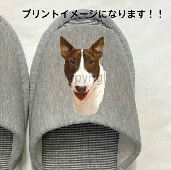 ブルテリア H ブルテリグッズ スリッパ 洗える 大人用22 26cm 男女兼用 グレー ストライプ 丸洗い ウォッシャブル ルームシューズ かわいい おしゃれ 来客用 すりっぱ 室内履き 新生活 オフ会 Caxbisystore Com