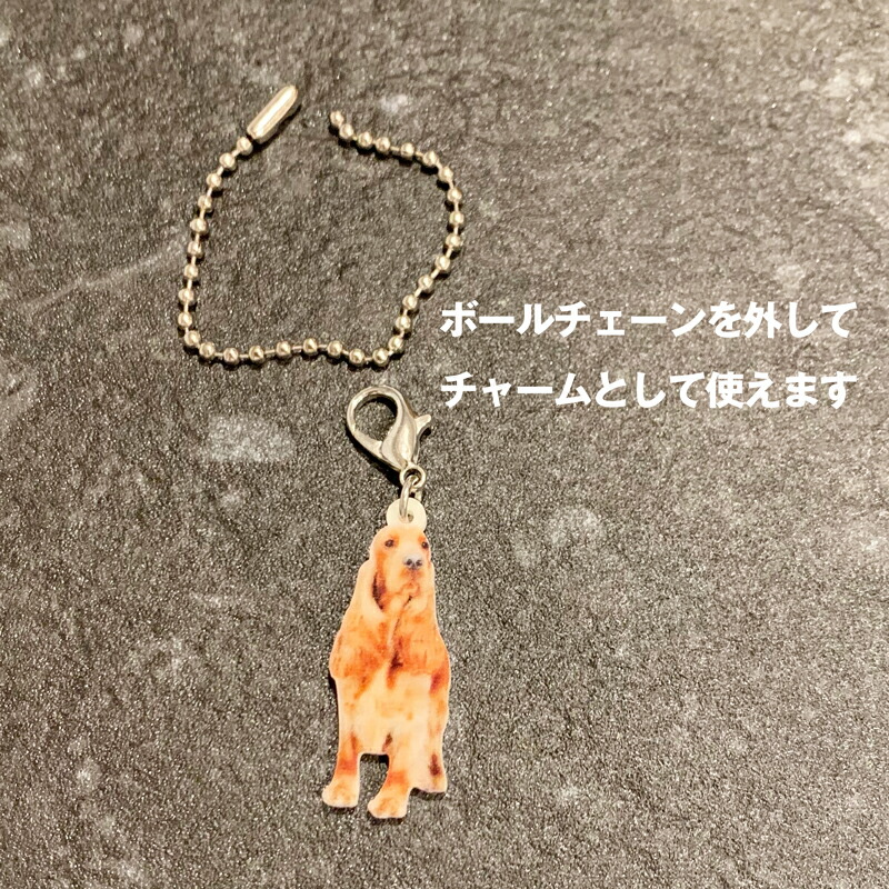 ジャックラッセルテリアジャックラッセル【キーホルダーチャーム】ジャックラッセルグッズバッグチェーンマスクチャームアクリル犬いぬイヌdog犬種別犬雑貨オーナーグッズかわいい輸入キーチェーンプリント