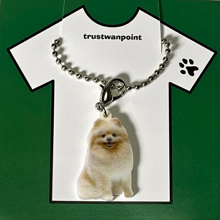 ポメラニアン キーホルダー マスクチャーム Dog 犬種別 犬 チャーム イヌ アクリル バッグチェーン ポメラニアングッズ いぬ