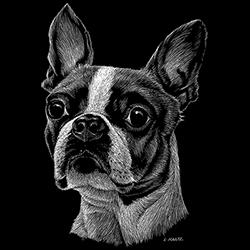 ボストンテリア ネオンカラー シンプル レディース 綿100 ロングスリーブ 丸首型 Tシャツ 服 トップス クルーネック 長袖 メンズ ロンティー