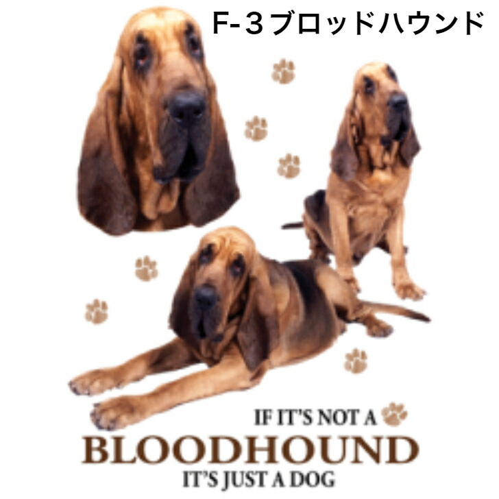 選べる大型犬f グレートデン ブルマスティフ ジャーマンポインター 首かけタイプ ロット 男女兼用 ピットブル かわいい ブロッドハウンド ワイマラナー