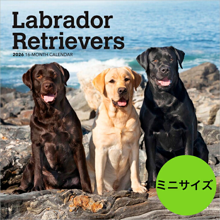 楽天市場】BrownTrout(ブラウントラウト) 2025年 カレンダー