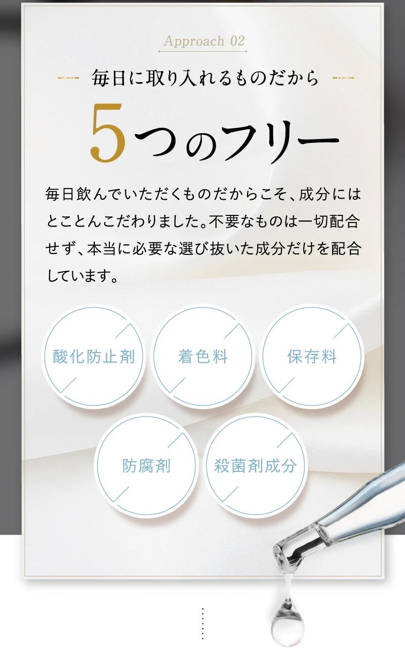 市場 公式ショップ 置き換えダイエット 倖田來未完全プロデュース キラーバーナー