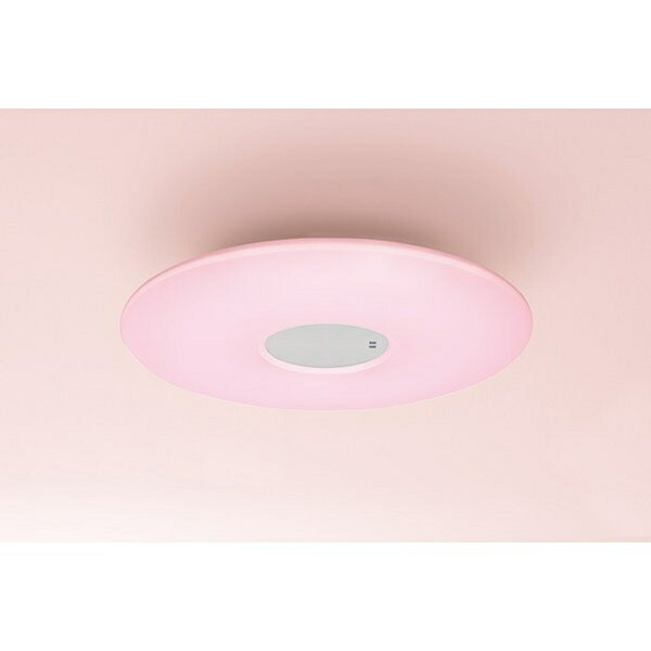 【新品未使用】SHARP さくら色LED照明 DL-PD02K-T 4974019160733.jpg