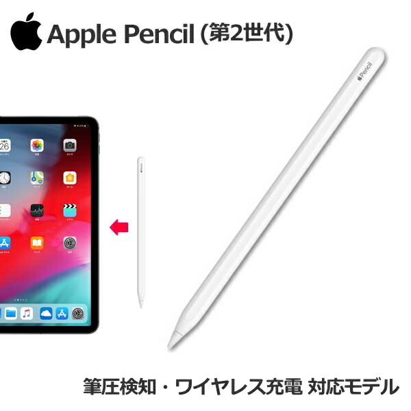 楽天市場】Apple iPad 本体 新品 第10世代 10.9型 シルバー A14 楽天市場】Apple iPad 本体 新品 第10世代 10.9型 シルバー A14