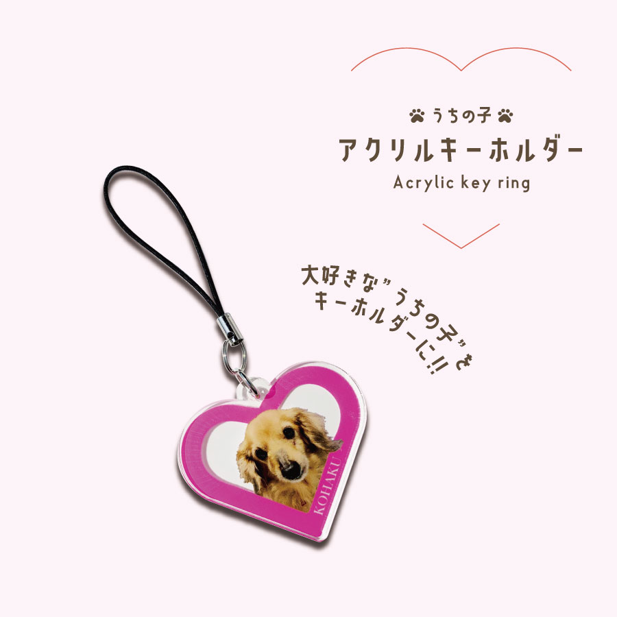 楽天市場】キーホルダー 写真入り ペット アクリル 犬 猫