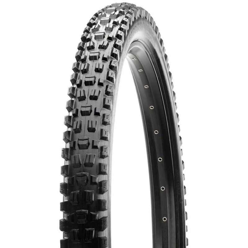 【メーカー純正品】【正規代理店品】MAXXIS(マキシス) タイヤ アセガイ チューブレスレディ 29x2.50 【MTB】
