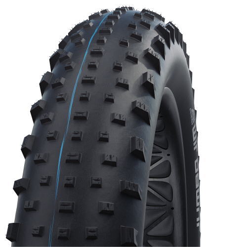 【製造会社完全無欠品】【定まり代わりになる店品】シュワルべ(SCHWALBE) タイア ジャンボ体育館 26x4.00