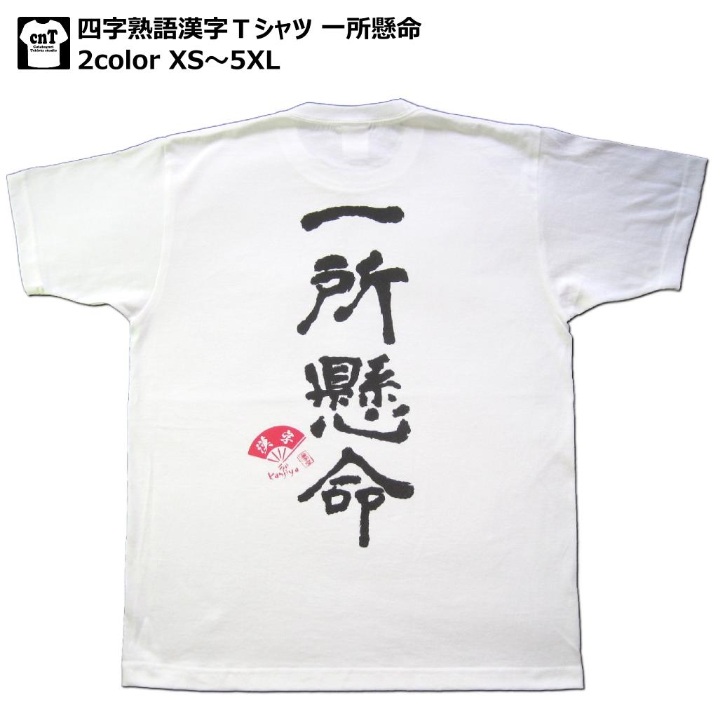 楽天市場 書道家が書く漢字屋の漢字ｔシャツ 輝 職人の手刷り技一刷 和柄 ゆうパケット日本全国送料無料 お土産 海外 留学 ホームステイ 外国 プレゼント カタログネット ｔシャツ工房壱番店