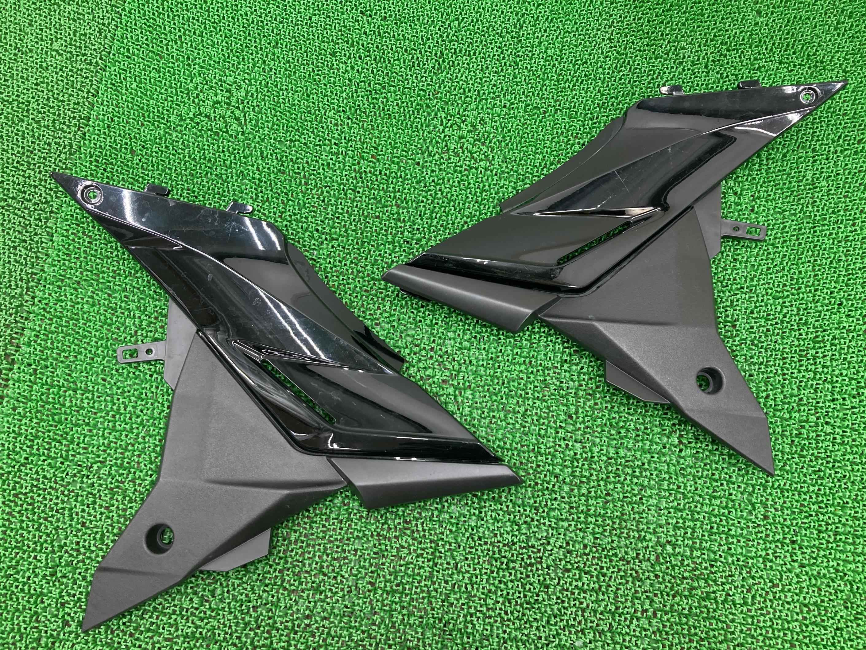 GSX250R サイドカバー 左右 黒 20K0 スズキ 純正 バイク 部品 DN11A 割れ欠け無し 品薄 希少品 車検 Genuine 【中古】 Dy｜ティーエスパーツ　店