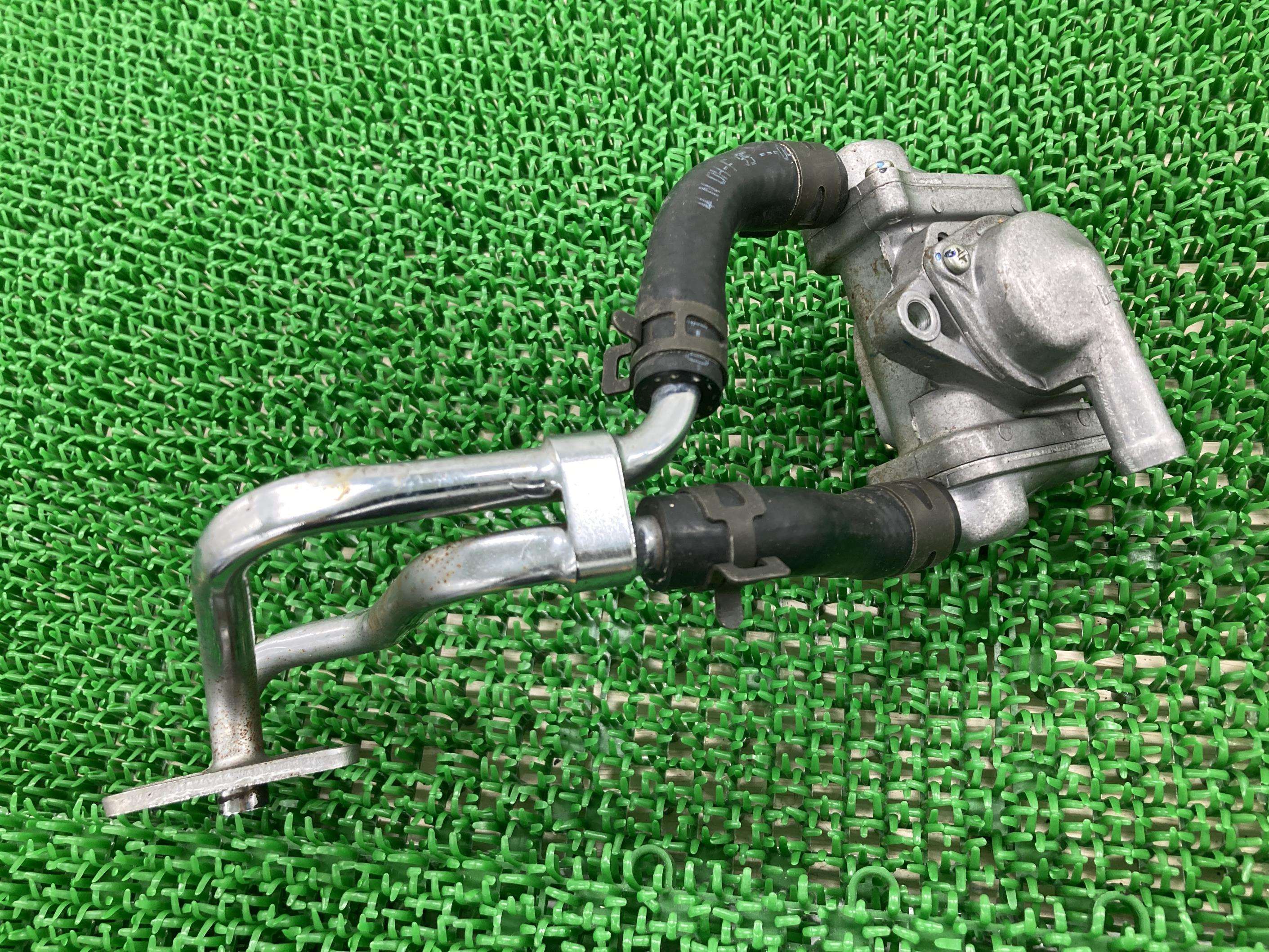XR250 AIシステム ホンダ 純正 バイク 部品 MD30 エアーインジェクションシステム 割れ欠け無し 品薄 希少品 車検 Genuine 【中古】 86｜ティーエスパーツ　店