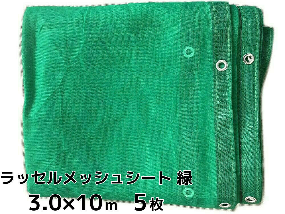 ラッセルメッシュシート 飛散押しとどめるサイバー空間 緑(緑であること) 3.0m×10m 5枚 ハトメあり(500P) ラッセル腰掛け ペンキ塗り工事 貨物輸送無料(本州/四国/九州)「人間様宛/同梱/とり止める/うつり変わり/返品不可」