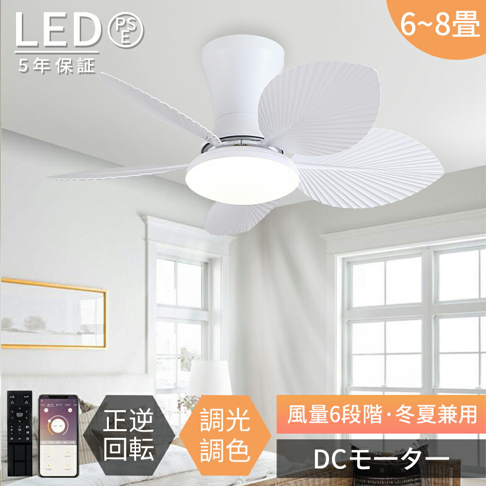 【2026年最新型★5年保証】シーリングファンライト シーリングファン led 6畳 8畳 調光調色 おしゃれ 北欧 DCモーター オシャレ 節電 天井 LED 扇風機兼ねた照明 静か 照明器具 リモコン付き 風量調整 シーリングライト 軽量 間接照明 静音 空気循環 食卓 リビング 寝室用