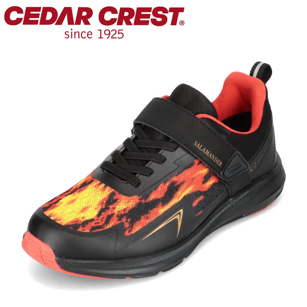 楽天市場】セダークレスト CEDAR CREST CC-3119 キッズ靴 子供靴 楽天市場】セダークレスト CEDAR CREST CC-3119 キッズ靴 子供靴