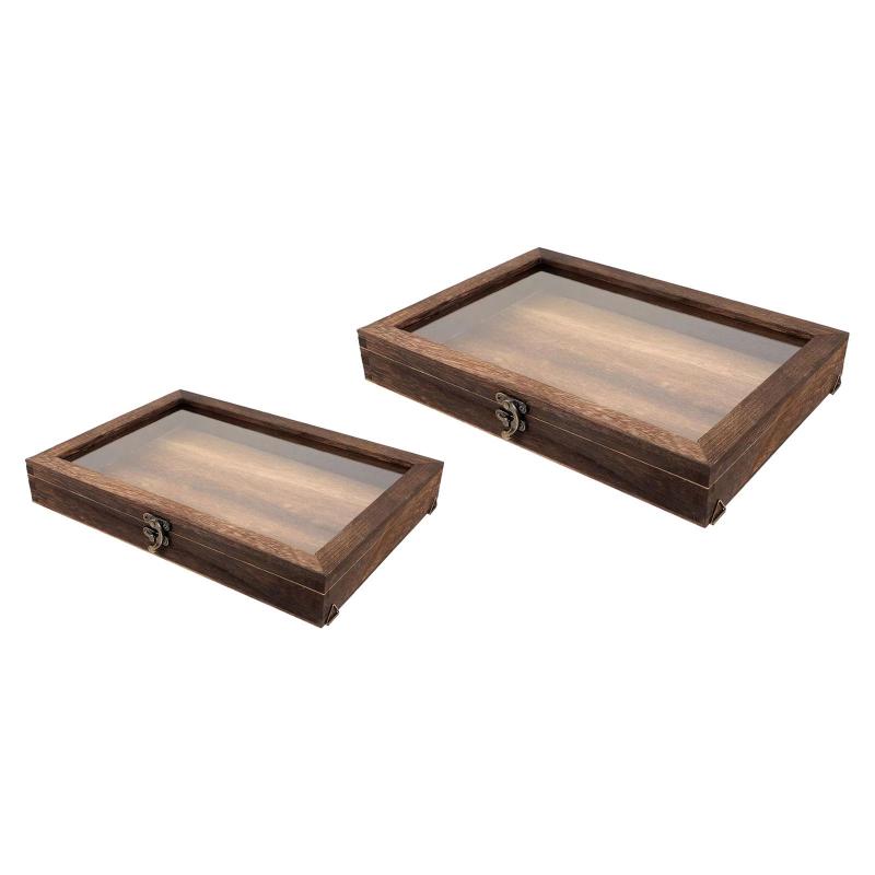 楽天市場】完成品 標本箱中 幅307×奥行219×高さ60mm