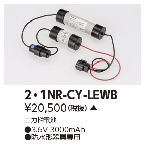 数量限定HOT 【受注品】 東芝ライテック 2-2NR-CY-LEWB 施設照明 交換