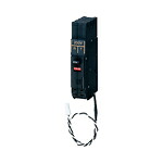 BKF2202CTPRT＜br /＞Panasonic 電設資材 電灯分電盤 分岐回路用ブレーカ＜br /＞カンタッチブレーカCT内蔵(プラグインタイプ) 配線保護用＜br /＞フレーム：50AF MCB 形名：BKF-50CTP 極数素子数：2P2E 20A AC200V(1φ3W)専用