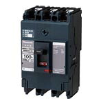 BBWA93100＜br /＞Panasonic 電設資材 断路器 盤用＜br /＞フレーム：100AF 型名：BBWA-100DS 極数素子数3P0E 定格電流100A