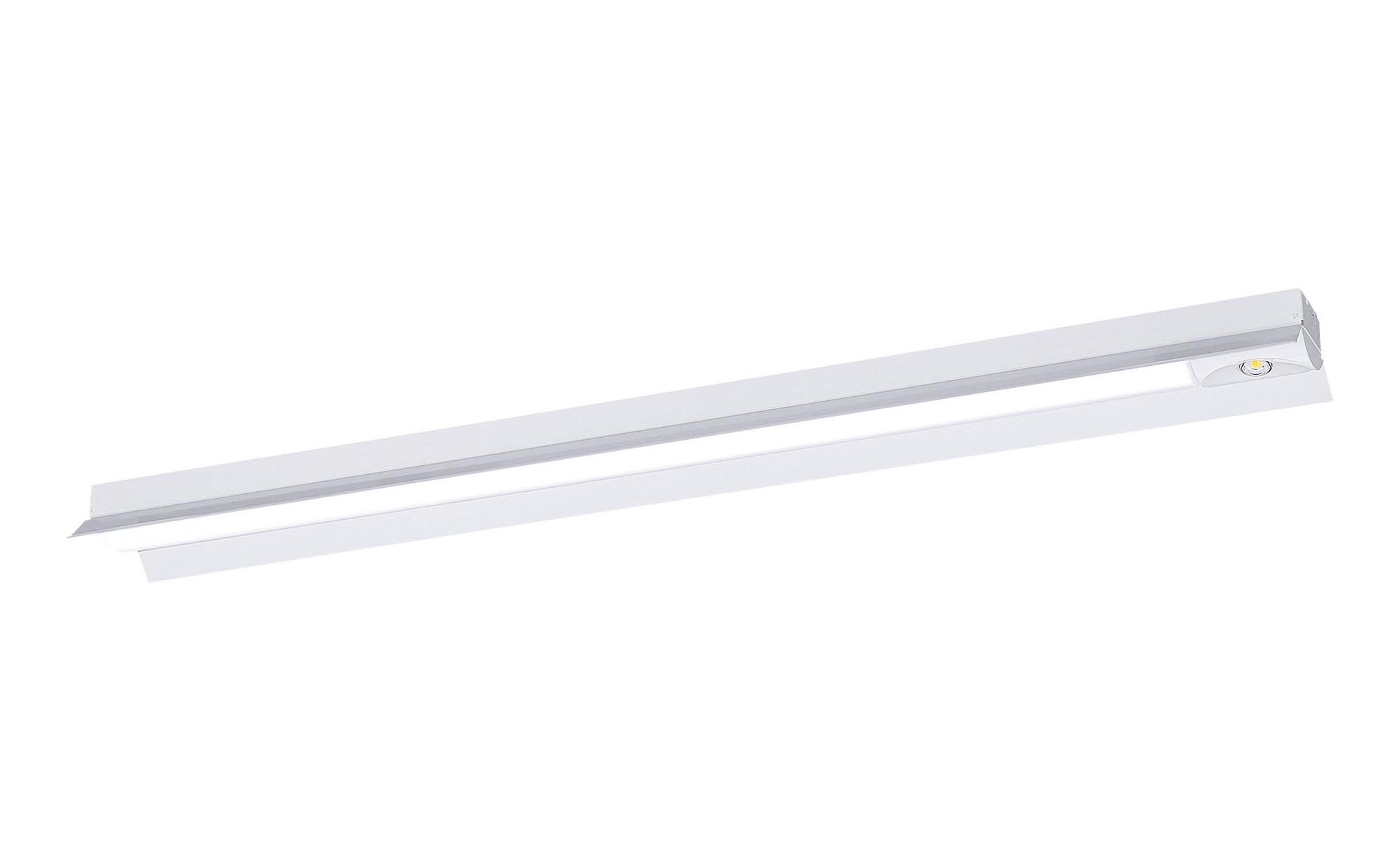 NNLG48117＜br /＞非常用照明器具 本体のみ リニューアル用＜br /＞直付型 電源別置形 反射笠付型＜br /＞Panasonic 施設照明