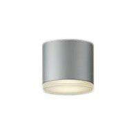DOL-5727YS＜br /＞LEDアウトドアライト 軒下シーリング＜br /＞電球色 非調光 白熱灯60W相当＜br /＞大光電機 照明器具 共用部廊下など 屋外用