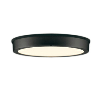OG254810R＜br /＞エクステリア LEDシーリングライト FLAT PLATE R15高演色 クラス2＜br /＞FCL30W相当 非調光 電球色 113°拡散配光 要電気工事＜br /＞オーデリック 照明器具 屋外用 軒下用