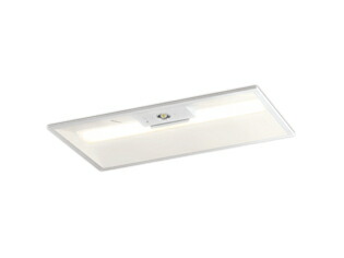 XR507010R1E<br />LEDベースライト LED-LINE 非常用照明器具(階段通路誘導灯兼用型)<br />埋込型 下面開放型(幅300) 20形<br />800lmタイプ FL20W×1灯相当 R15高演色 クラス2 非調光 電球色<br />オーデリック 照明器具