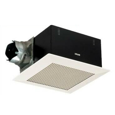 新着音沙汰