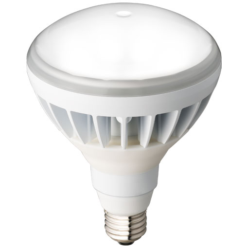 LDR11N-H/W850レディオック LEDアイランプセルフバラスト水銀ランプ160W相当11W E26口金 昼白色 白色塗装岩崎電気 ランプ|照明ライト専門タカラshopあかり館