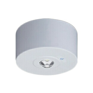 EL-CT31113<br />LED非常用照明器具 電源別置形 LED専用形<br />直付形 30分間定格形 高天井用(~10m)<br />従来ハロゲン75形器具相当 昼白色<br />三菱電機 施設照明