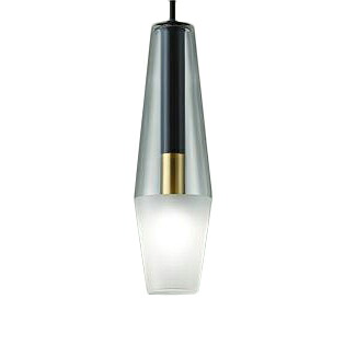 DPN-41429Y＜br /＞LED小型ペンダントライト 白熱灯60W相当＜br /＞直付専用 要電気工事 電球色 非調光＜br /＞大光電機 照明器具 吊下げ 天井照明