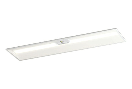 XR507011R2E＜br /＞LEDベースライト LED-LINE 非常用照明器具(階段通路誘導灯兼用型) R15高演色 クラス2＜br /＞埋込型 下面開放型(幅300) 40形 4000lmタイプ FLR40W×2灯相当＜br /＞非調光 電球色3000K＜br /＞オーデリック 照明器具 水平天井取付専用