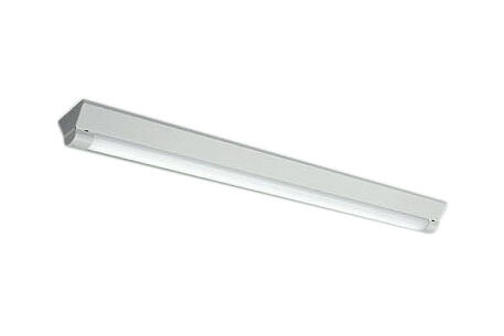 DOL-5556WW＜br /＞軒下用LEDベースライト＜br /＞4000lmクラス FL40W形×2灯節電タイプ＜br /＞直付 逆富士型 昼白色 非調光＜br /＞大光電機 照明器具