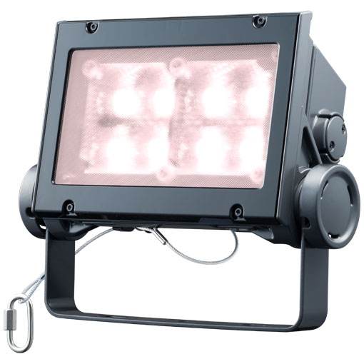 ECF6040W/VWSAN8/DG＜br /＞LED投光器 レディオック フラッド ネオ 美vid 60クラス 広角タイプ 白色＜br /＞屋外・屋内用 電源ユニット内蔵形 耐塩仕様＜br /＞岩崎電気 施設照明